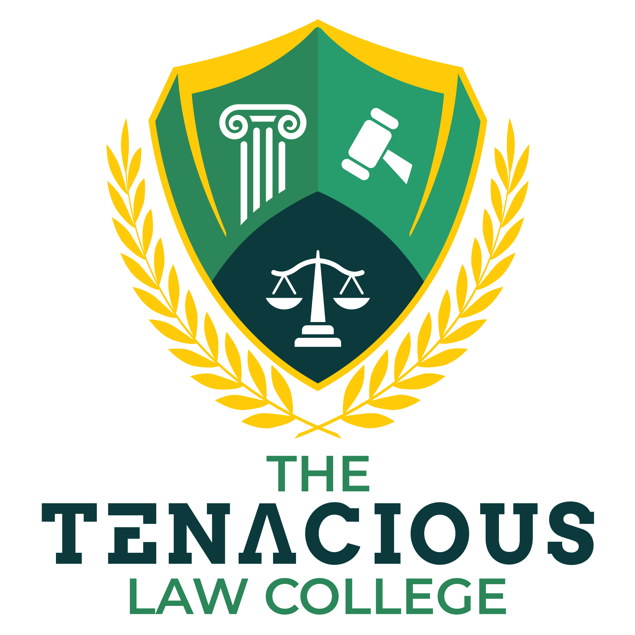 The Tenacious International College Logo
